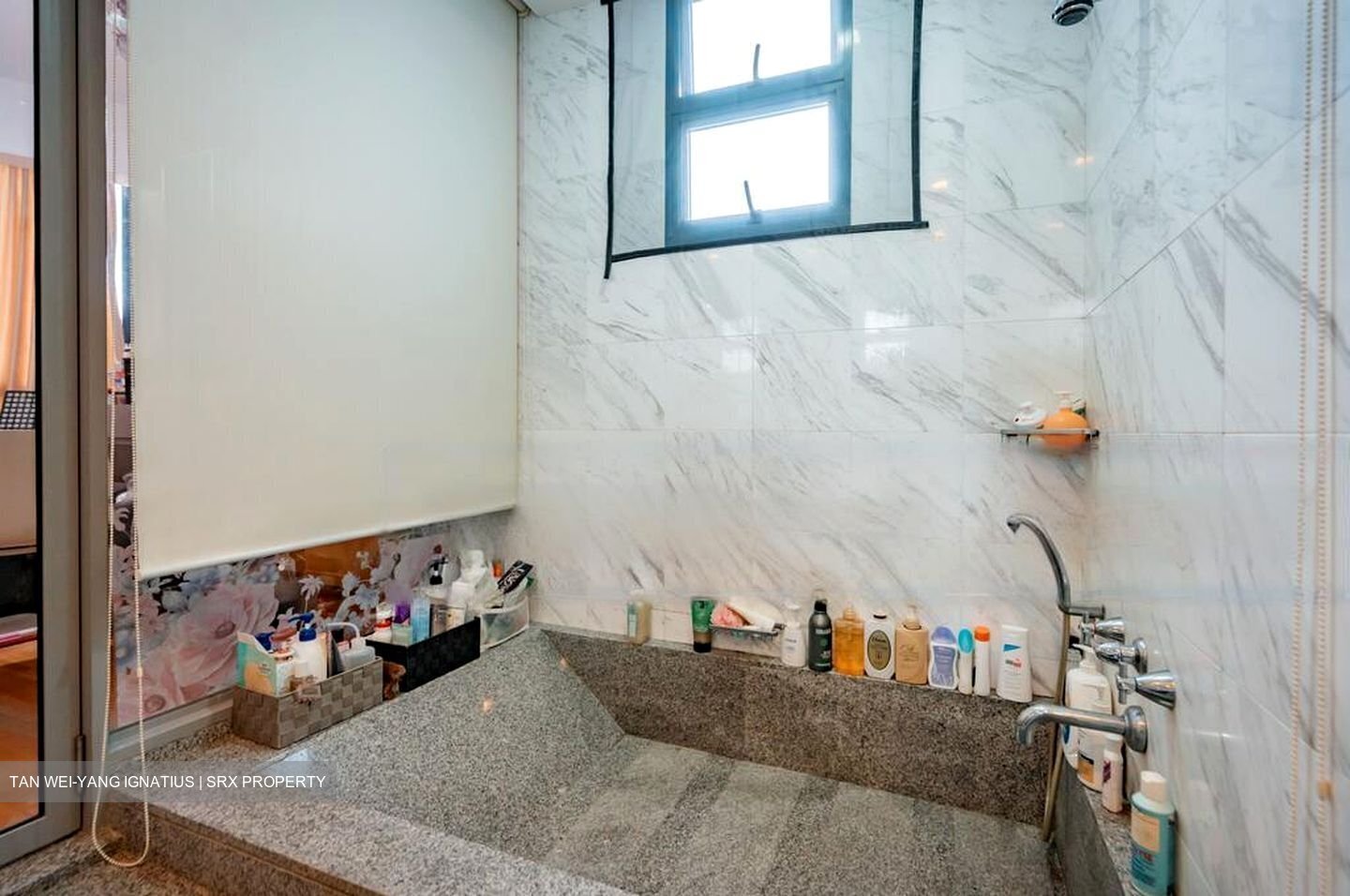 Water Place (D15), Condominium #456611781